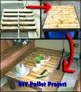 100+ DIY Pallet Projects screenshot 1