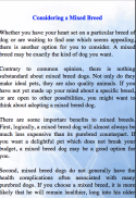 DOG ADOPTION INFO FOR 2020 screenshot 5