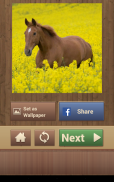 Jogos de Quebra-Cabeça Cavalos screenshot 13