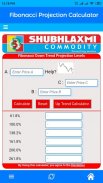 Fibonaci Projection Calculator screenshot 3