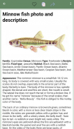 Reference book of fish screenshot 2