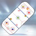 Ice Hockey Puck