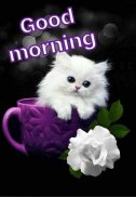 Good Morning - Good Night  Messages Images GIF screenshot 1