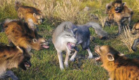 Wolf Game image