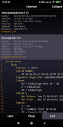 Ceromon SSL/TLS screenshot 3
