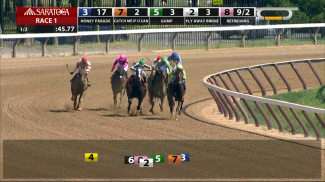 NYRA Now screenshot 6