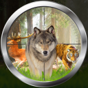 Jungle Animals Hunting Games : Icon