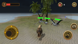 Sea Eagle Survival Simulator screenshot 5