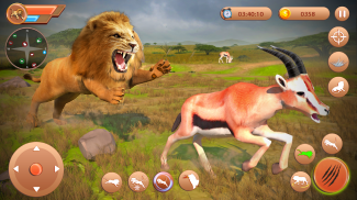 Lion Games Animal Simulator 3D screenshot 1