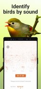 Picture Bird - Bird Identifier screenshot 2