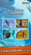 Animal Quiz Guess their Answer screenshot 2