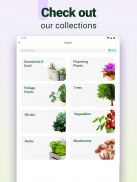 Plantum - Plant Identifier App screenshot 12