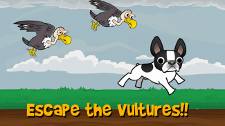 French Bulldog World screenshot 3