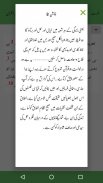 Tafheem ul Quran Tafseer screenshot 4