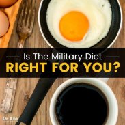 The Three Day Military Diet Plan screenshot 0
