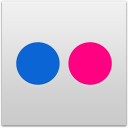 Flickr Icon