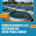 Panduan Budidaya Lele Bioflok