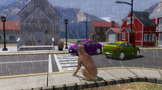 Boxer Dog Simulator screenshot 8