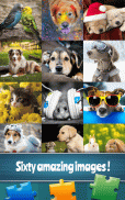 Pets Jigsaw Puzzle Game screenshot 1