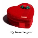 My Heart Says... Icon