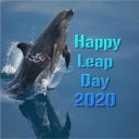 Happy Leap Day 2024