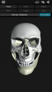 Sistema Oseo en 3D (anatomía) screenshot 0
