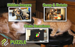 Free Dogs and Cats Puzzles screenshot 3