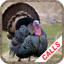 Turkey hunting calls Icon