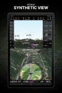 Air Navigation Pro screenshot 14