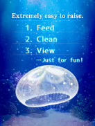 Jellyfish Pet screenshot 5