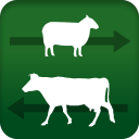 Stock Move Express Icon