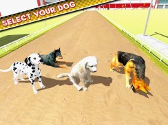 Dog Training Jump & Stunt Sim screenshot 11