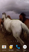 أحصنة برية screenshot 5