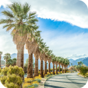 Palm Springs Wallpaper Icon