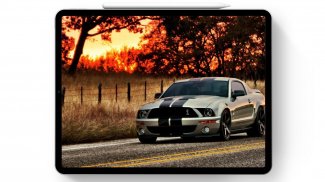 Wallpaper For Mustang Shelby Fans screenshot 1