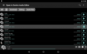 Doninn Audio Editor Free screenshot 3