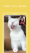 Cat Fake Video Call Cat Game screenshot 1