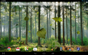 Forest Live Wallpaper screenshot 2