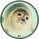 Seal Sounds Icon