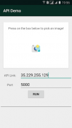 API Demo screenshot 1