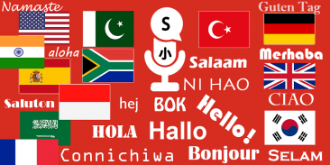 Nói và dịch tất cả các ngôn ngữ Voice Translator screenshot 4