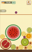 Watermelon splash screenshot 2