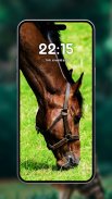 Horse wallpapers screenshot 1