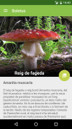 Boletus Lite - buscador setas screenshot 3