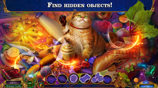 Hidden Objects - Labyrinths 13 (Free To Play) screenshot 0