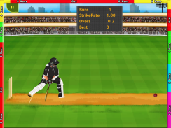 Cricket screenshot 4