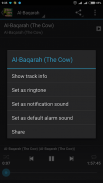 Al Quran MP3 Full Offline screenshot 4