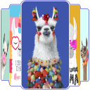 Cute Llama Wallpapers