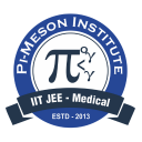 Pi Meson Institute