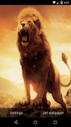 Lion Live Wallpaper HD screenshot 3